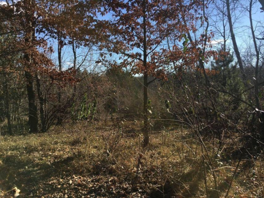 125 West Adams Road Hart, MI 49420 - Photo 5 of 8