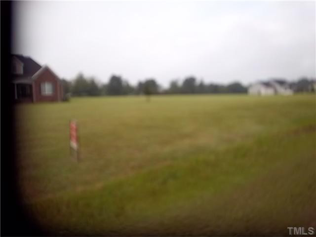 Tilghman Road Benson, NC 27504 - Photo 2 of 2 Photo 2