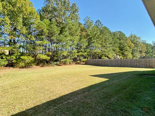 116 Cypress Plantation Road Moncks Corner, SC 29461 - Photo 36 of 39 Backyard