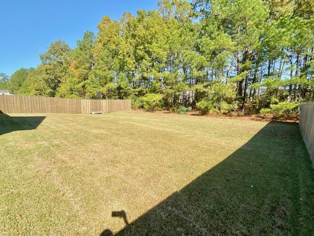 116 Cypress Plantation Road Moncks Corner, SC 29461 - Photo 37 of 39 Backyard2