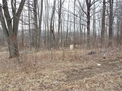 368 East Central Road Coldwater, MI 49036 - Photo 9 of 10 Additional Photo