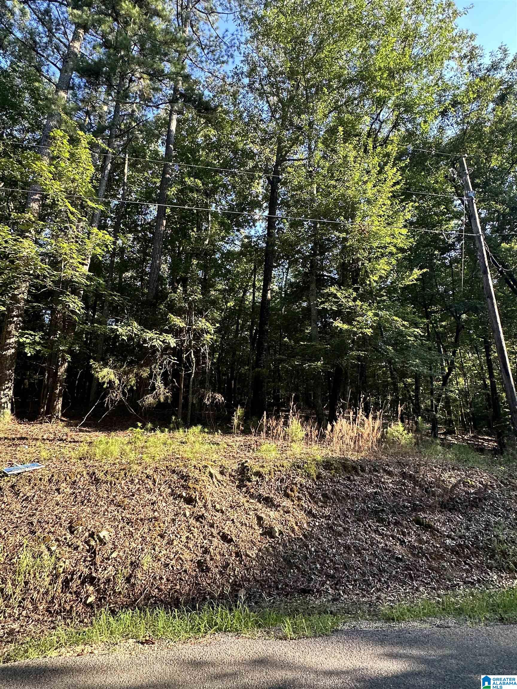 500 Black Acres Road, Unit 27 Cropwell, AL 35054 - Photo 16 of 25