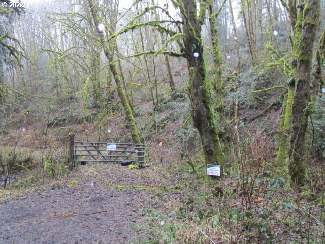 0 Brooks Road Warren, OR 97053 - Photo 1 of 11 Gallery Image 1