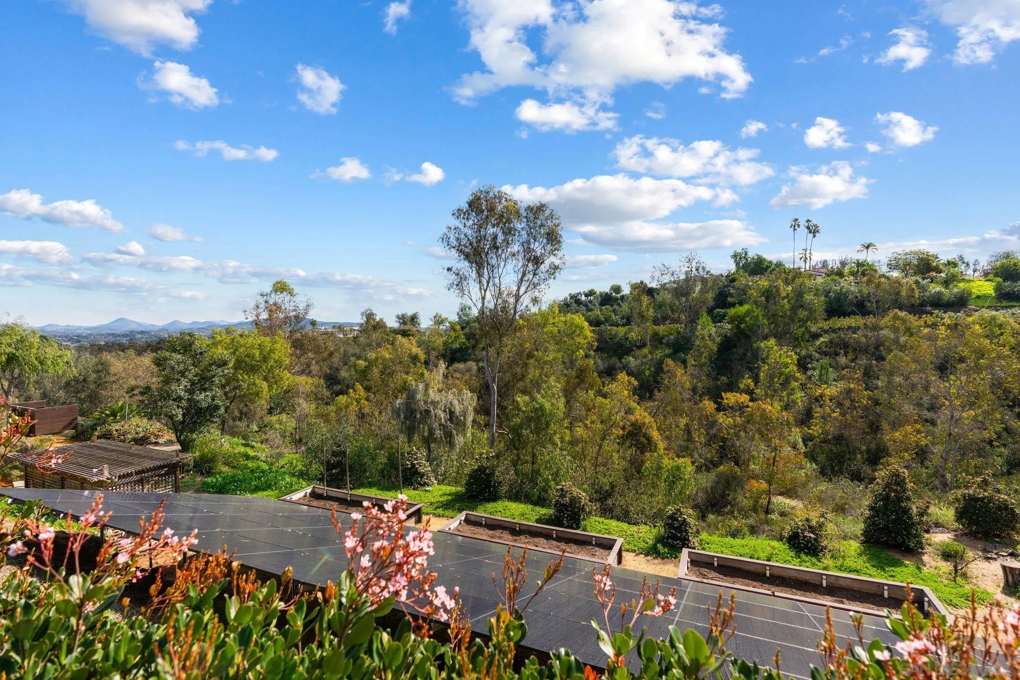 16032 Puerta Del Sol Rancho Santa Fe, CA 92067 - Photo 51 of 53