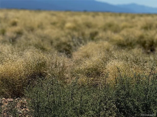a view of a yard with a dry ground