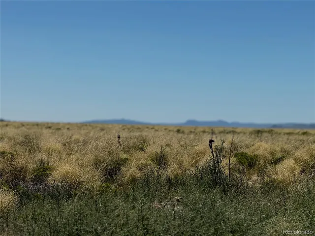 a view of ocean and green space