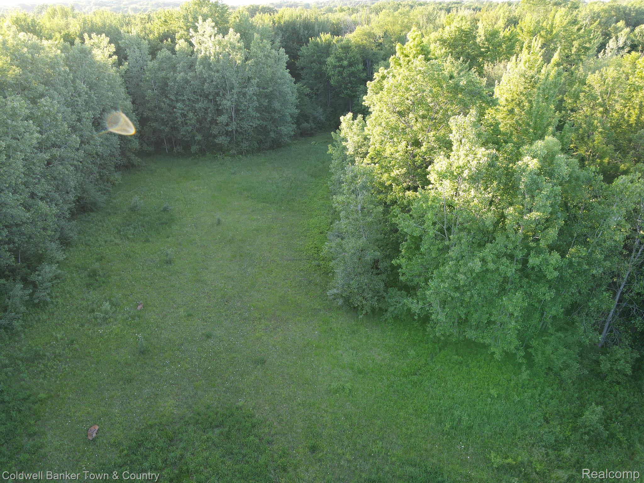9580 Bergin Road Howell, MI 48843 - Photo 83 of 88 Gallery Image 83