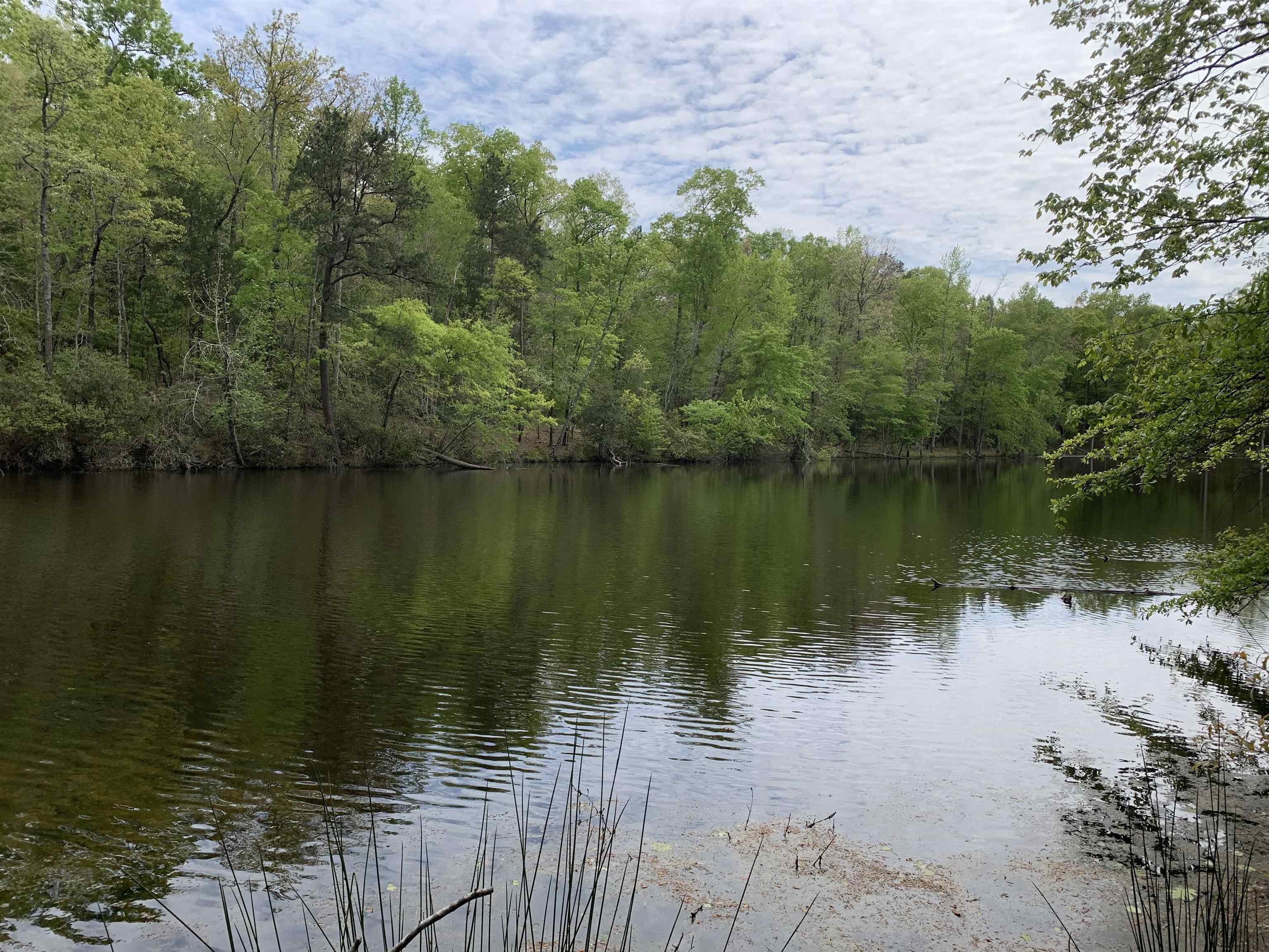 6316 Parsons Road Woodruff, SC 29388 - Photo 1 of 13