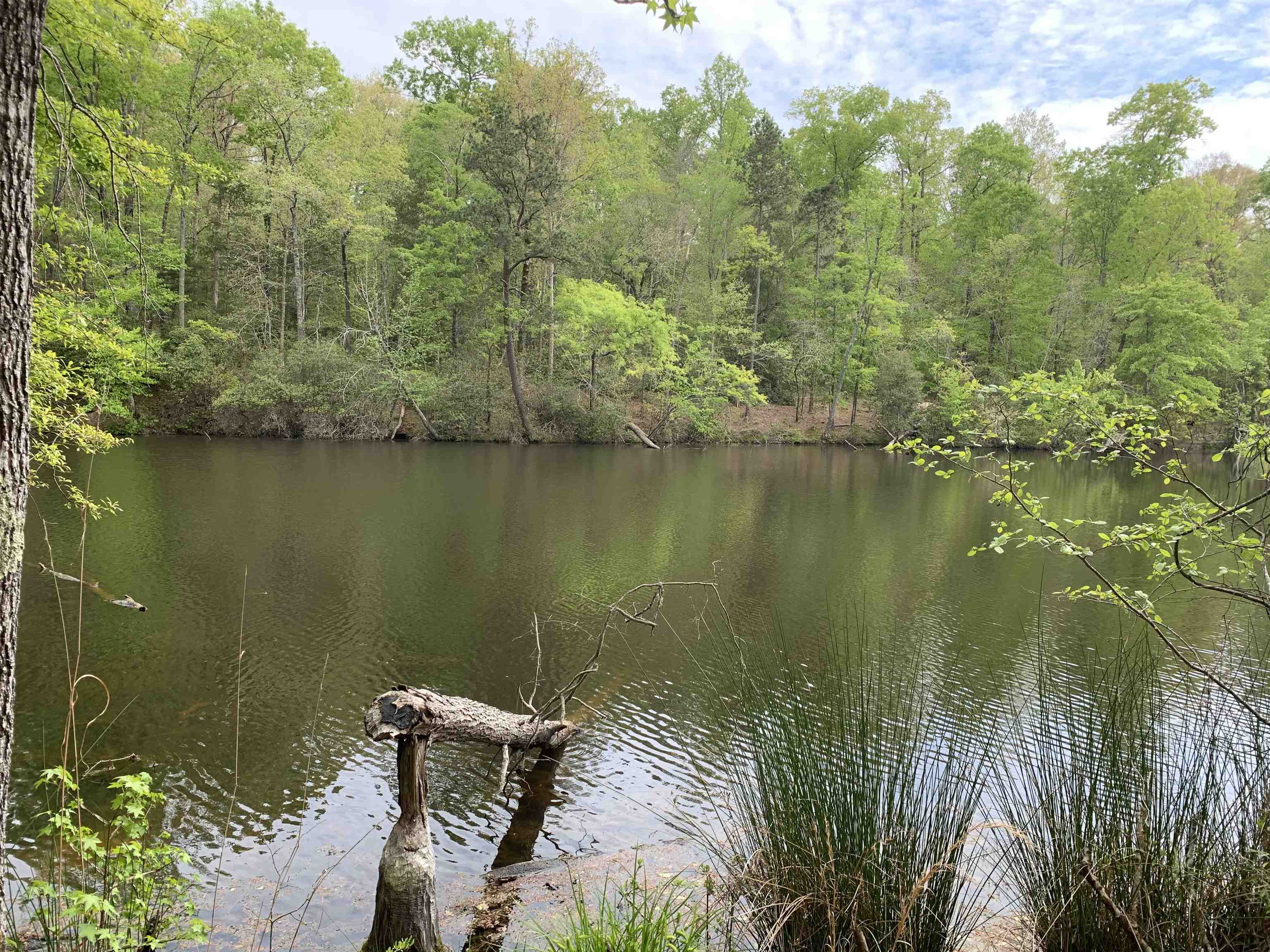 6316 Parsons Road Woodruff, SC 29388 - Photo 2 of 13