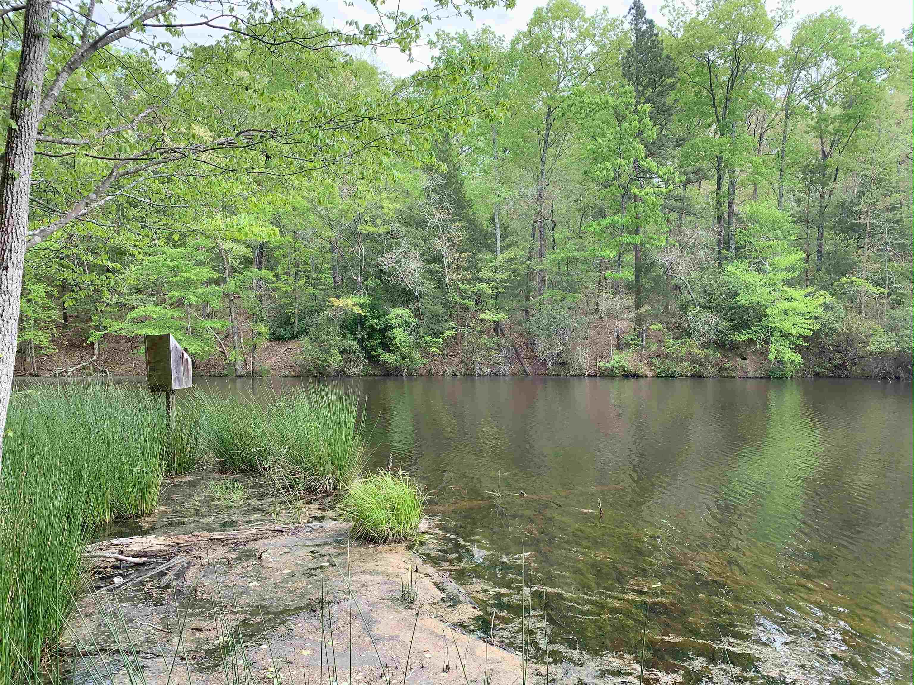 6316 Parsons Road Woodruff, SC 29388 - Photo 5 of 13