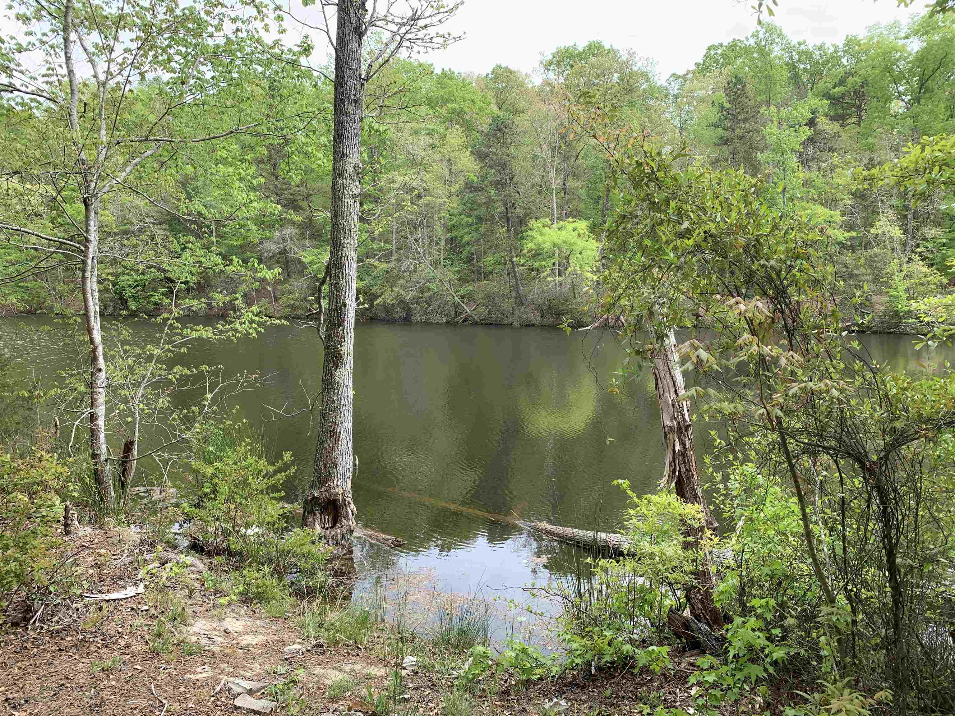 6316 Parsons Road Woodruff, SC 29388 - Photo 8 of 13