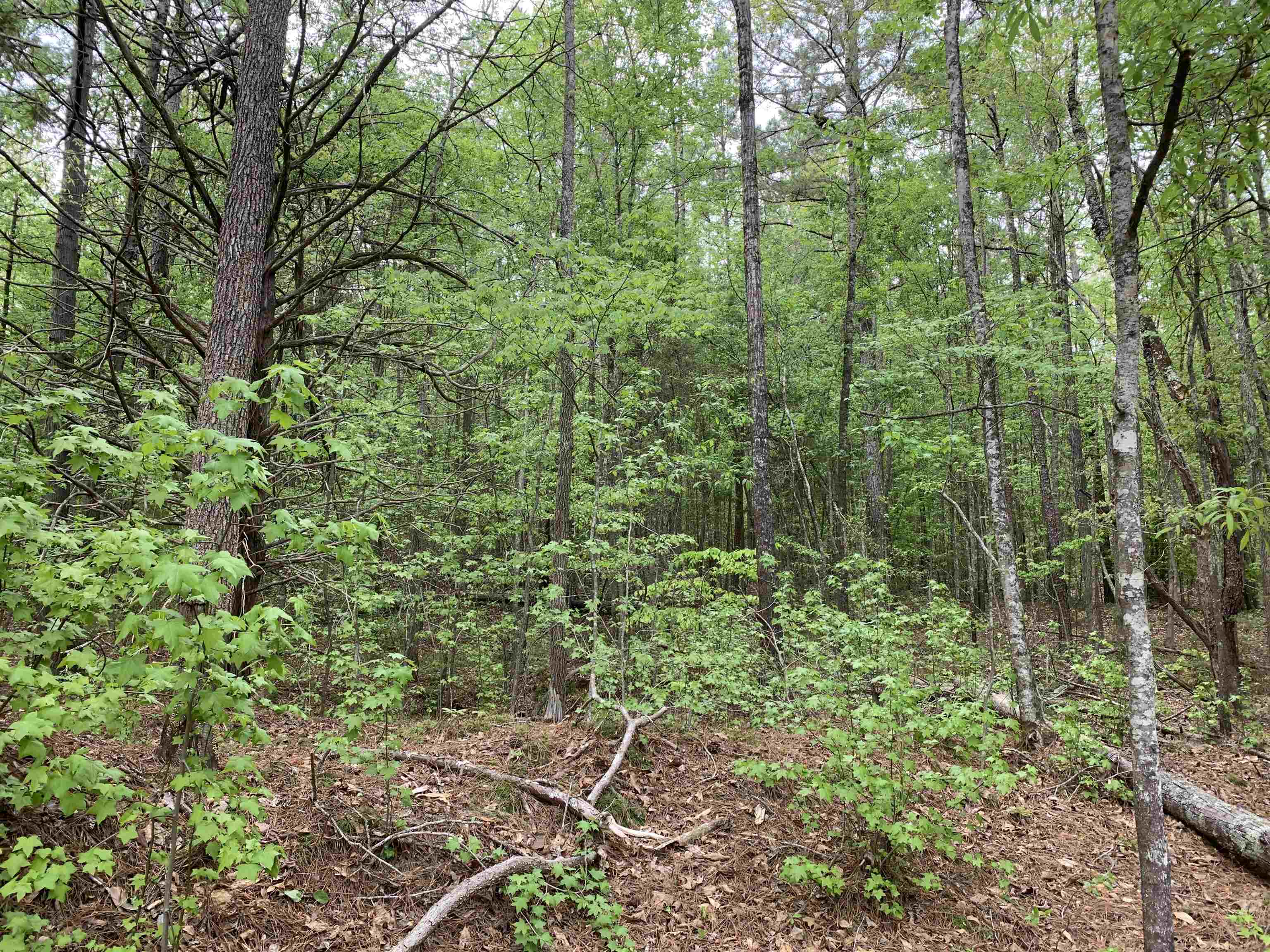 6316 Parsons Road Woodruff, SC 29388 - Photo 10 of 13