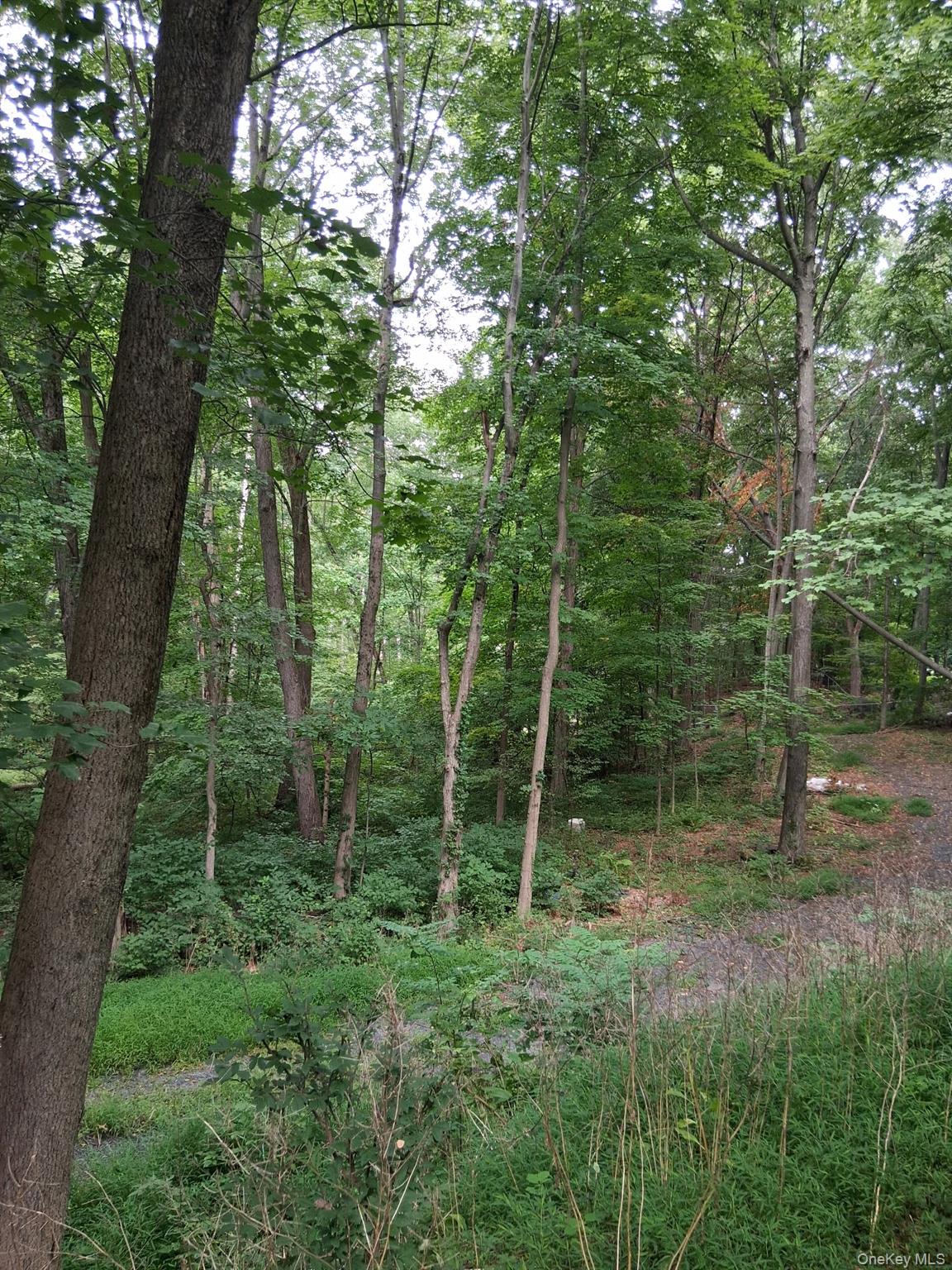 Museum Village Road Monroe, NY 10914 - Photo 1 of 2 Gallery Image 1