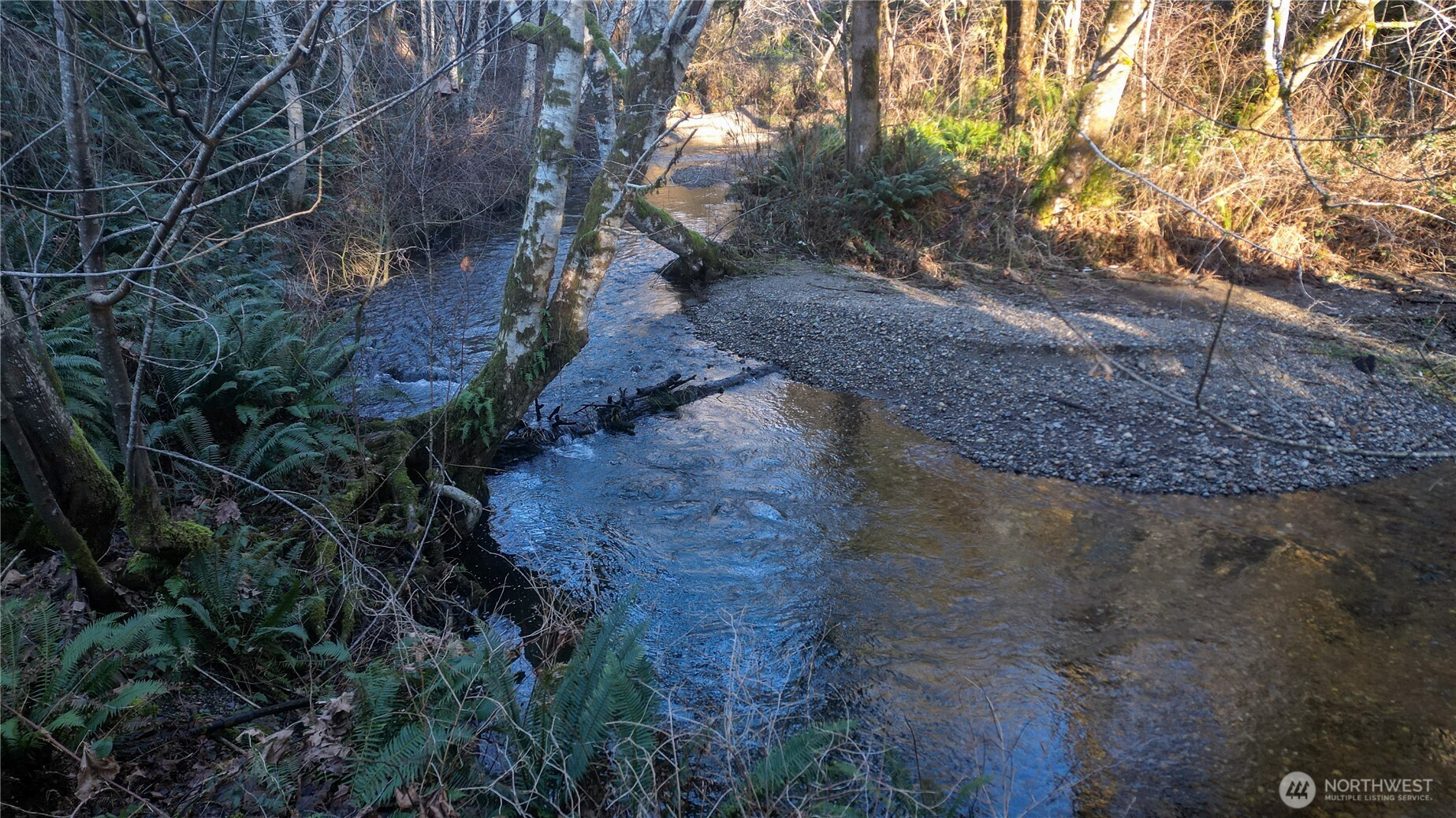 443 Elma Hicklin Road West McCleary, WA 98557 - Photo 3 of 11 a view of a yard with plants and a large tree