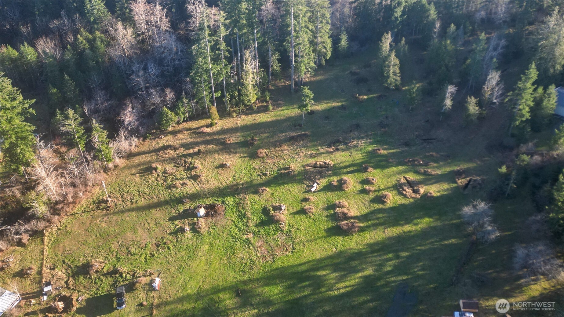 443 Elma Hicklin Road West McCleary, WA 98557 - Photo 7 of 11 a backyard of a house with green space