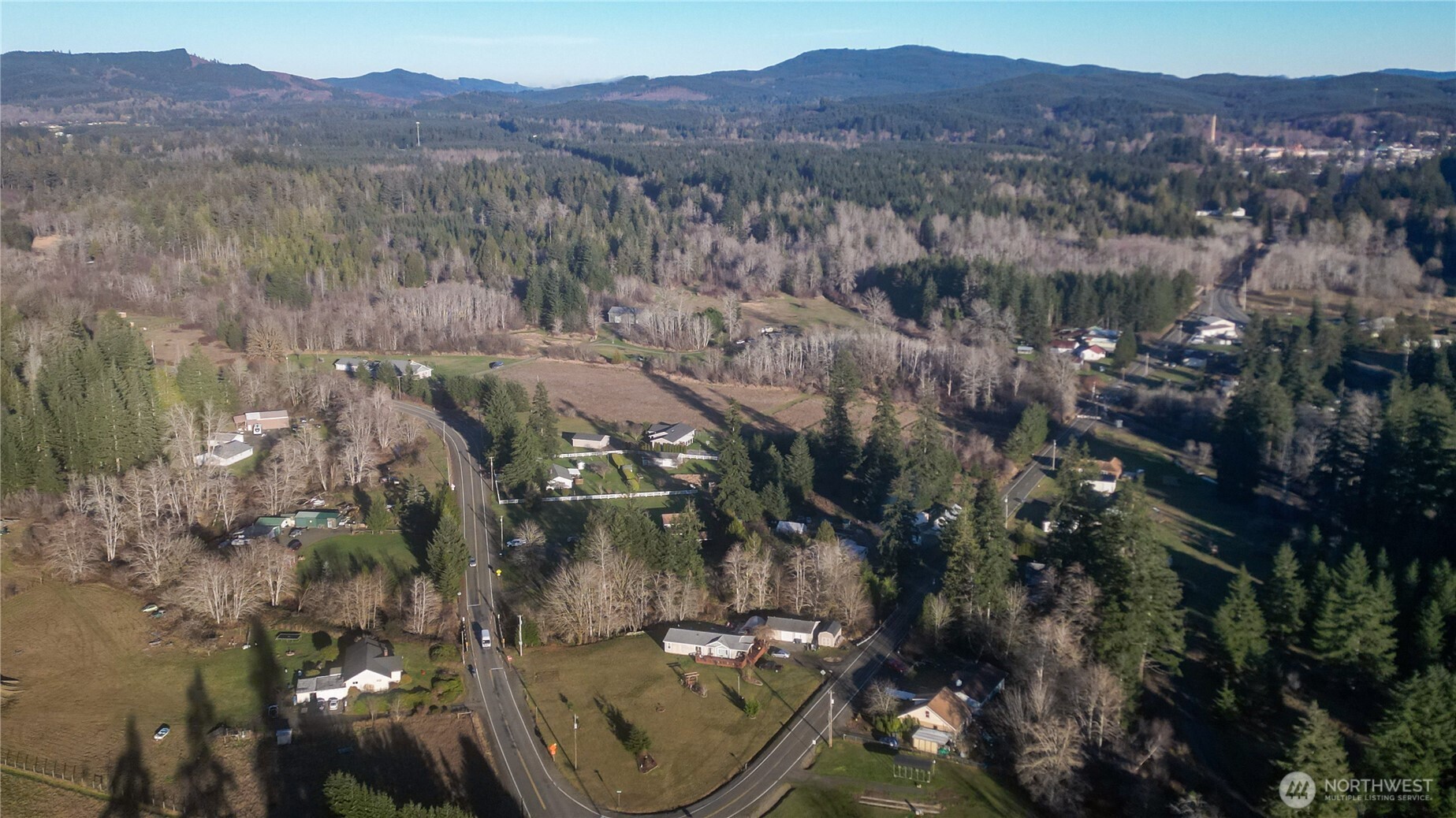 443 Elma Hicklin Road West McCleary, WA 98557 - Photo 8 of 11 a view of a city with mountains