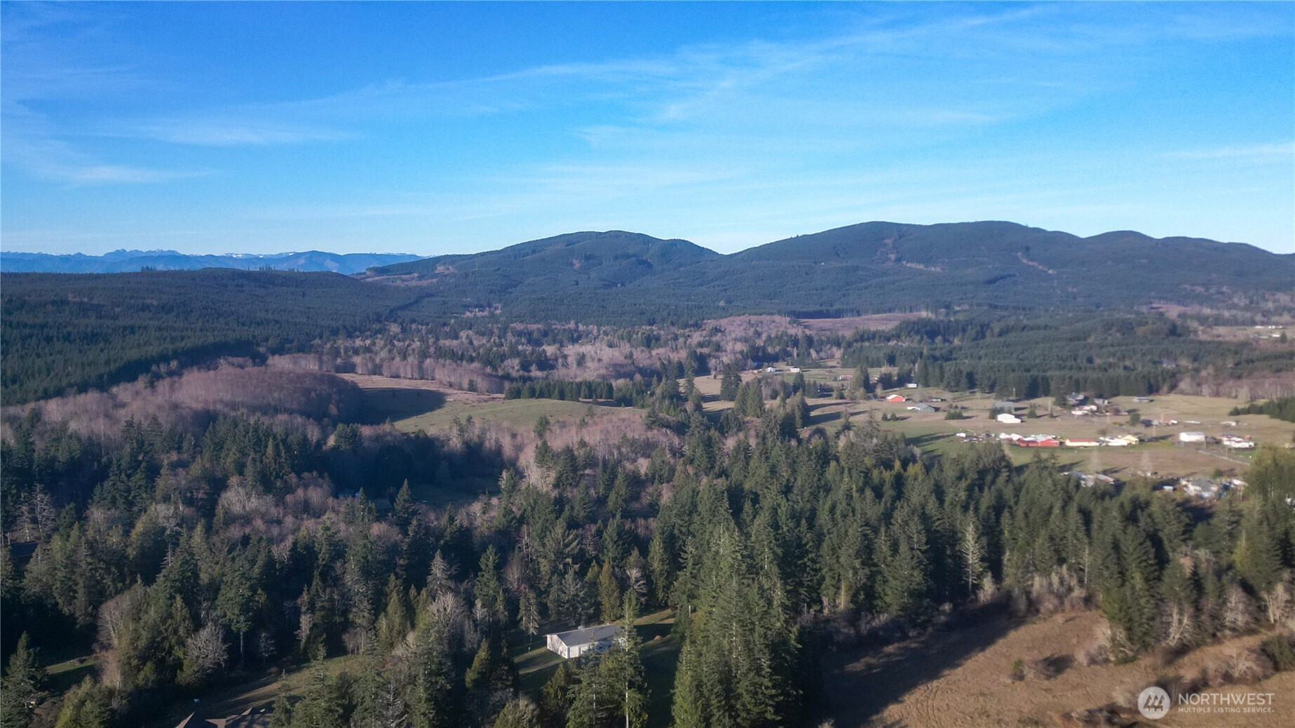 443 Elma Hicklin Road West McCleary, WA 98557 - Photo 9 of 11 a view of a city