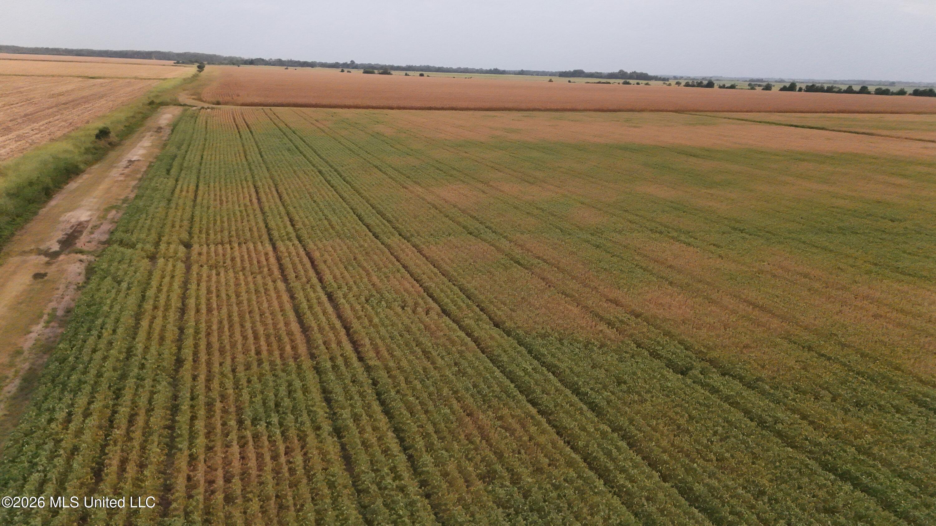 3342 Campbell Road Tutwiler, MS 38963 - Photo 19 of 25 DJI_20260820182442_0573_D