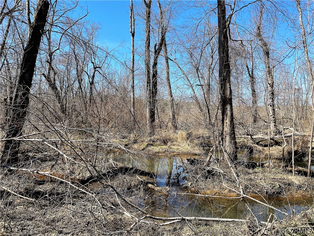 843 Namozine Road Crewe, VA 23930 - Photo 46 of 49