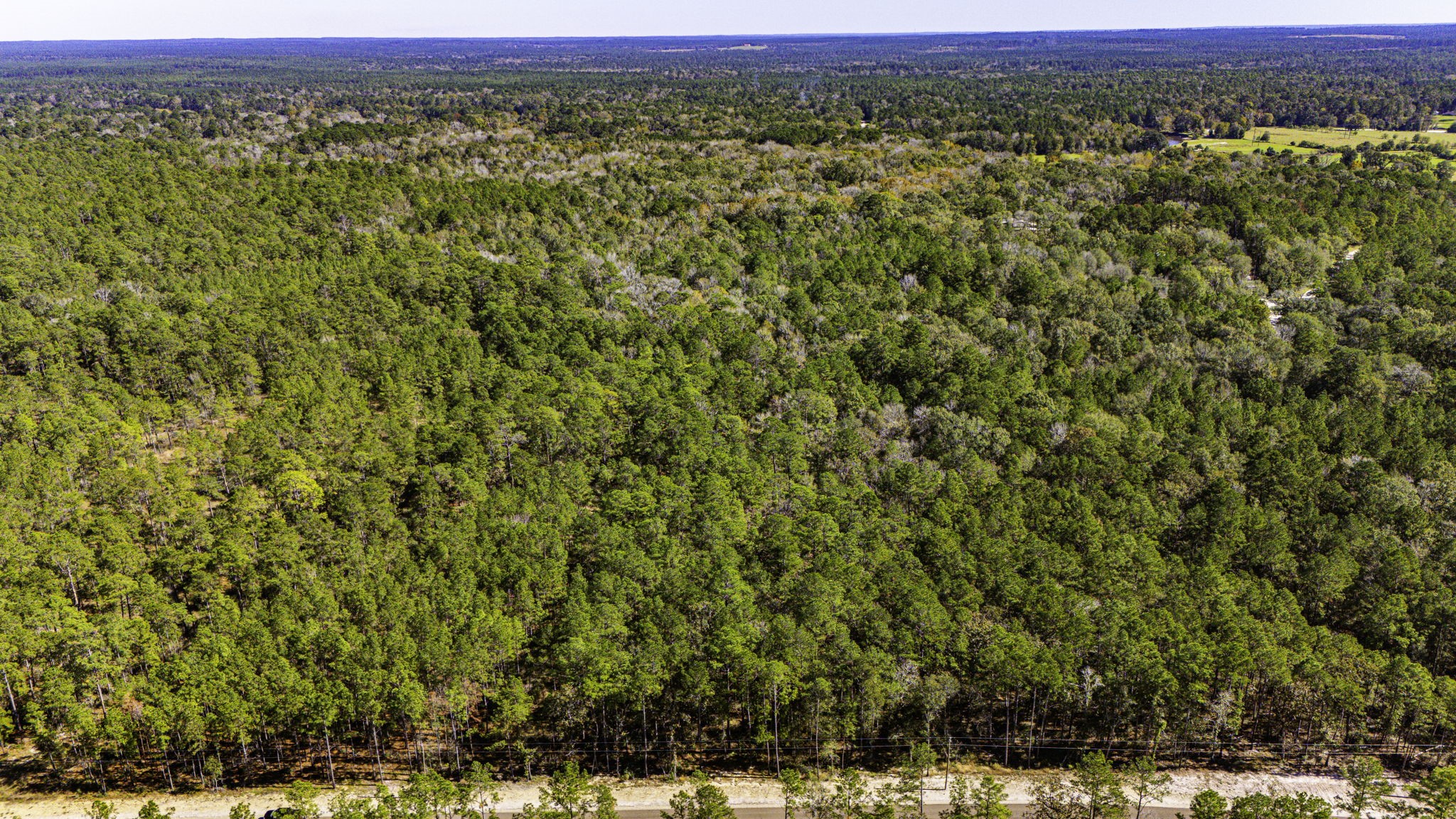 32 King Ranch Road South Onalaska, TX 77360 - Photo 2 of 10 a view of a field with an outdoor space