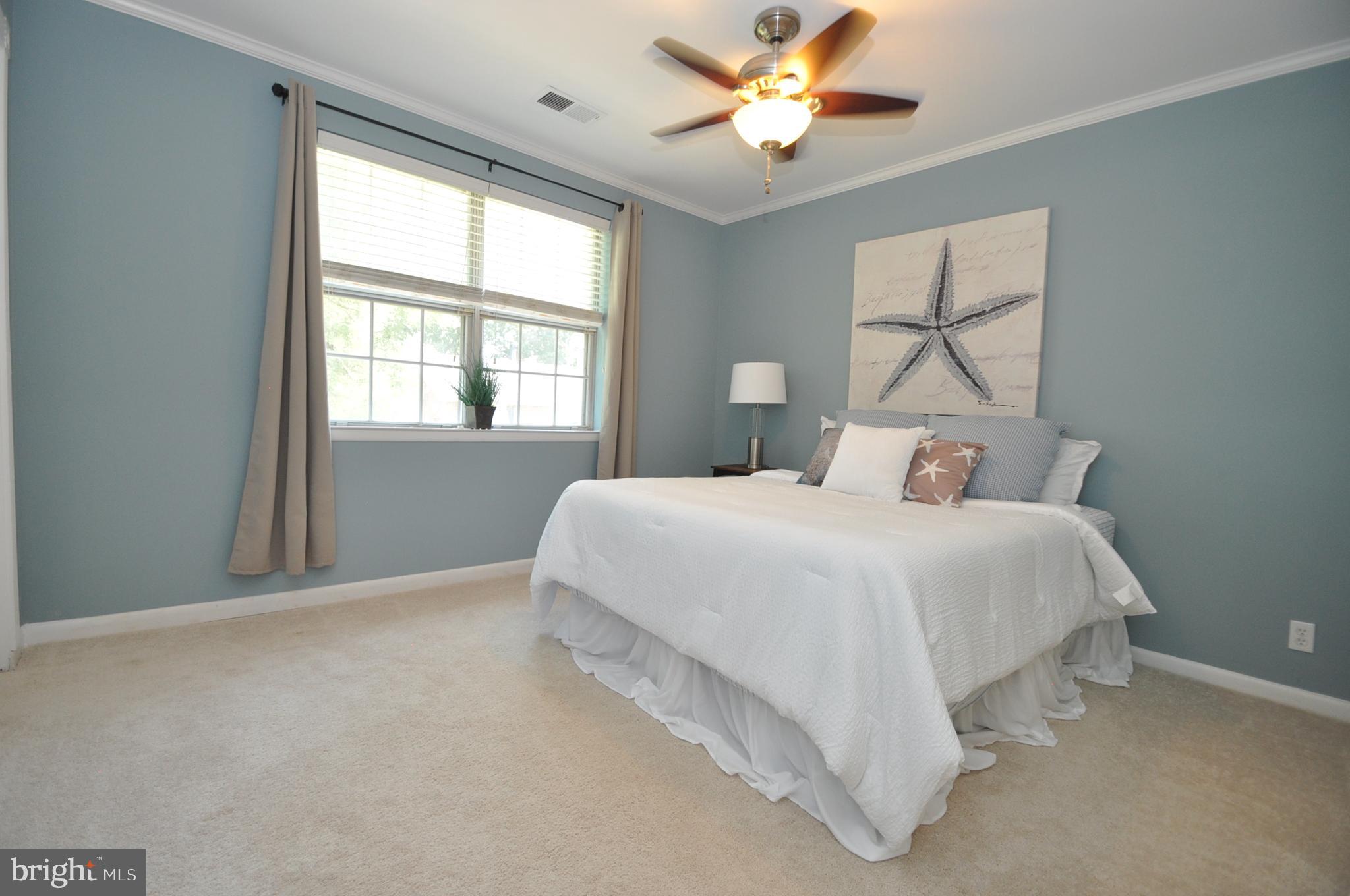 4635 28th Road South, Unit B Arlington, VA 22206 - Photo 15 of 25 Gallery Image 15
