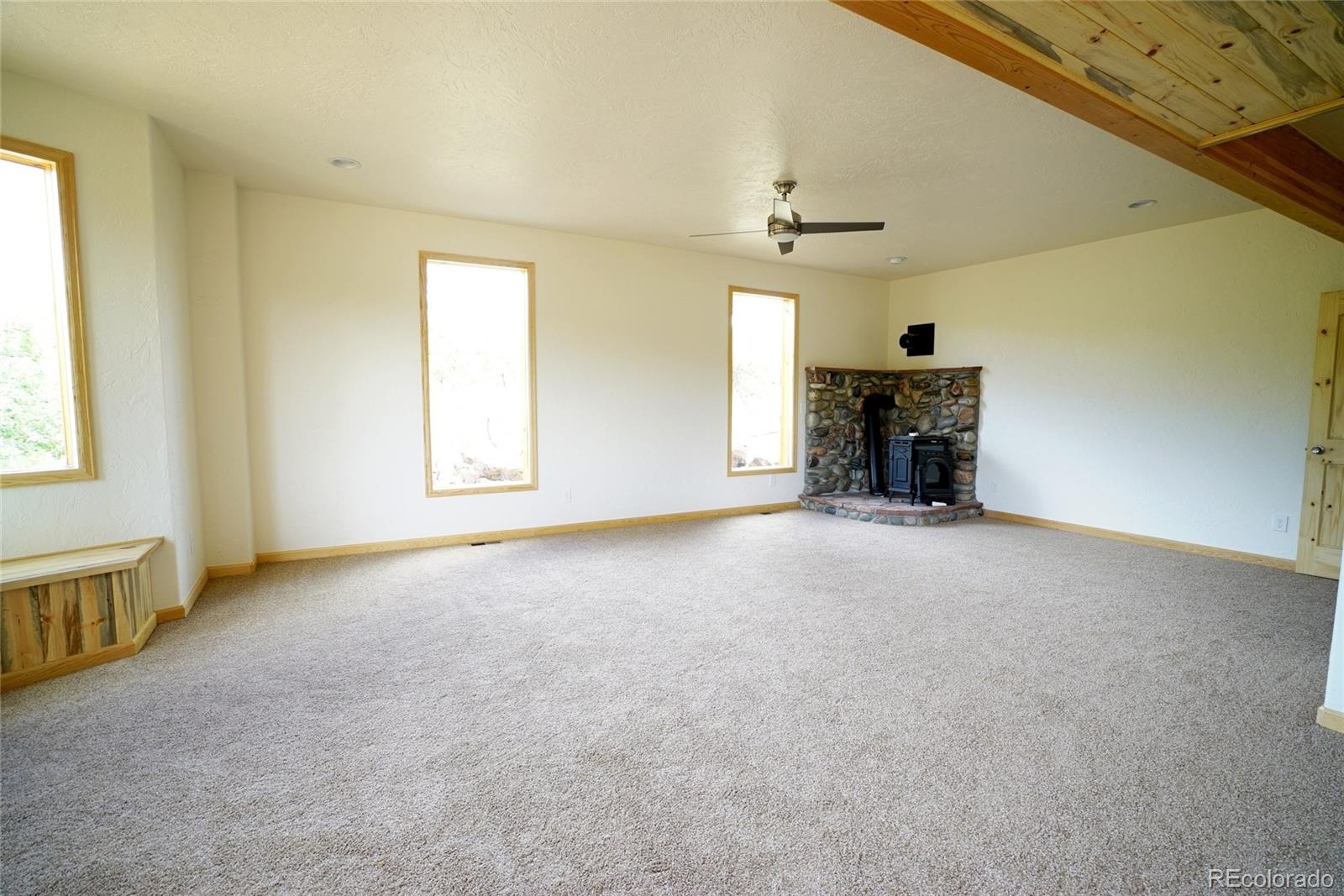 311 Quartz Circle Bailey, CO 80421 - Photo 10 of 30 an empty room with windows and fireplace