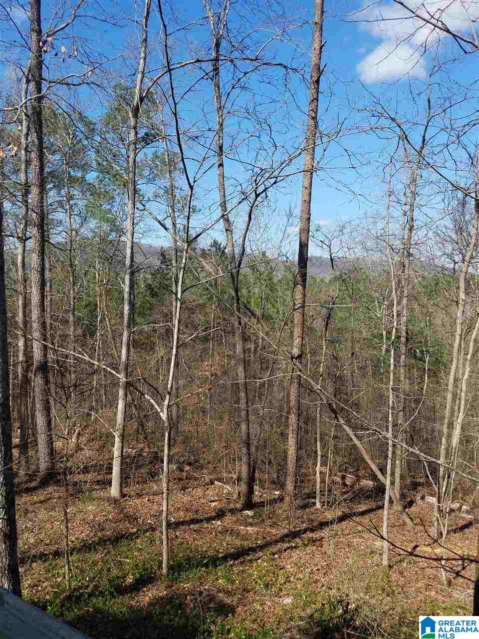 500 Lake Street Springville, AL 35146 - Photo 31 of 31