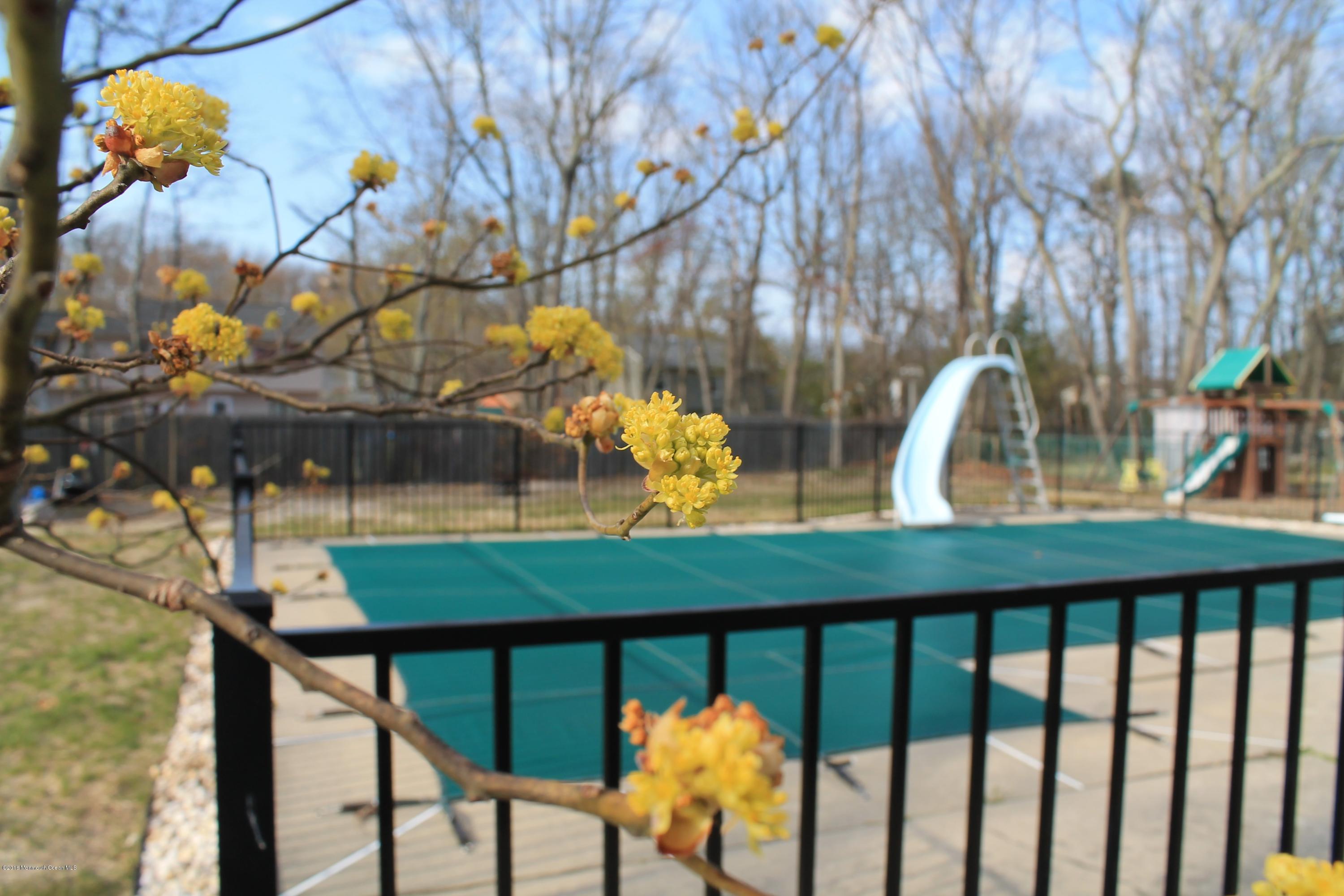 13 Partree Road Jackson, NJ 08527 - Photo 17 of 17 a view of a lake from balcony