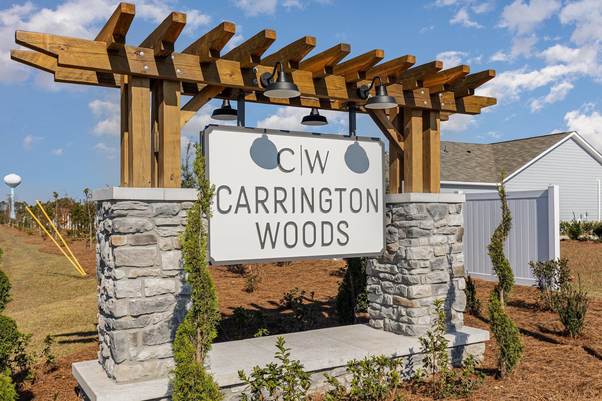 323 Ridley Street Longs, SC 29568 - Photo 20 of 21