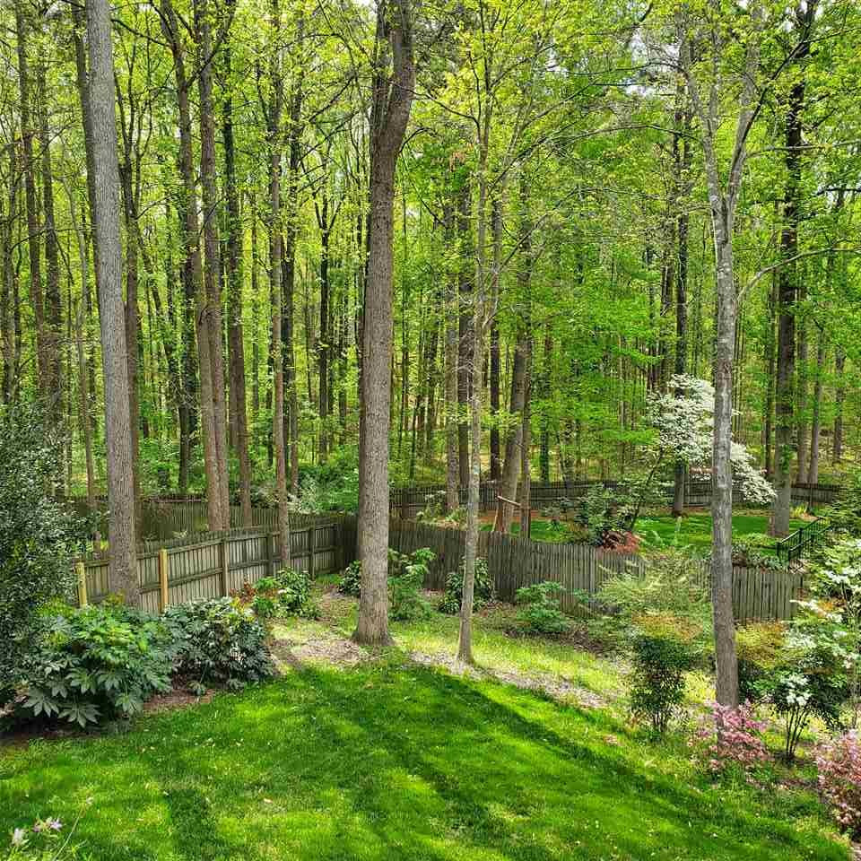 7809 Ketley Court Raleigh, NC 27615 - Photo 3 of 30 Your private, wooded back yard view- getting harder and harder to find in North Raleigh. Back Yard!