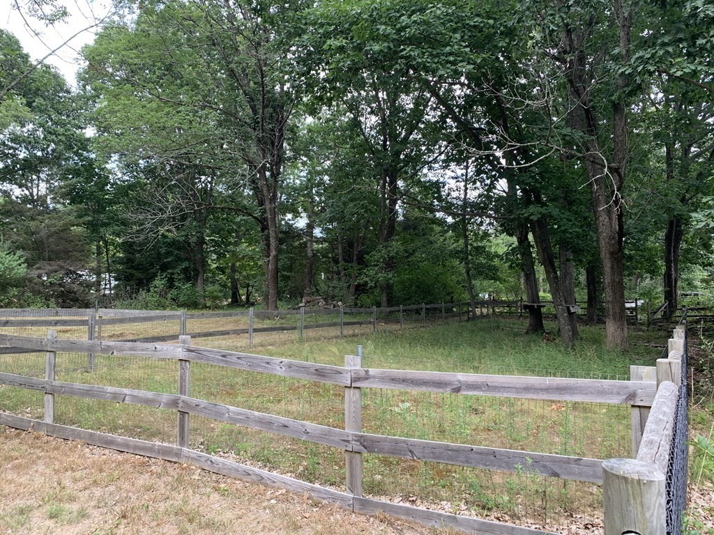 1481 Bay Road Sharon, MA 02067 - Photo 7 of 29 a view of a backyard