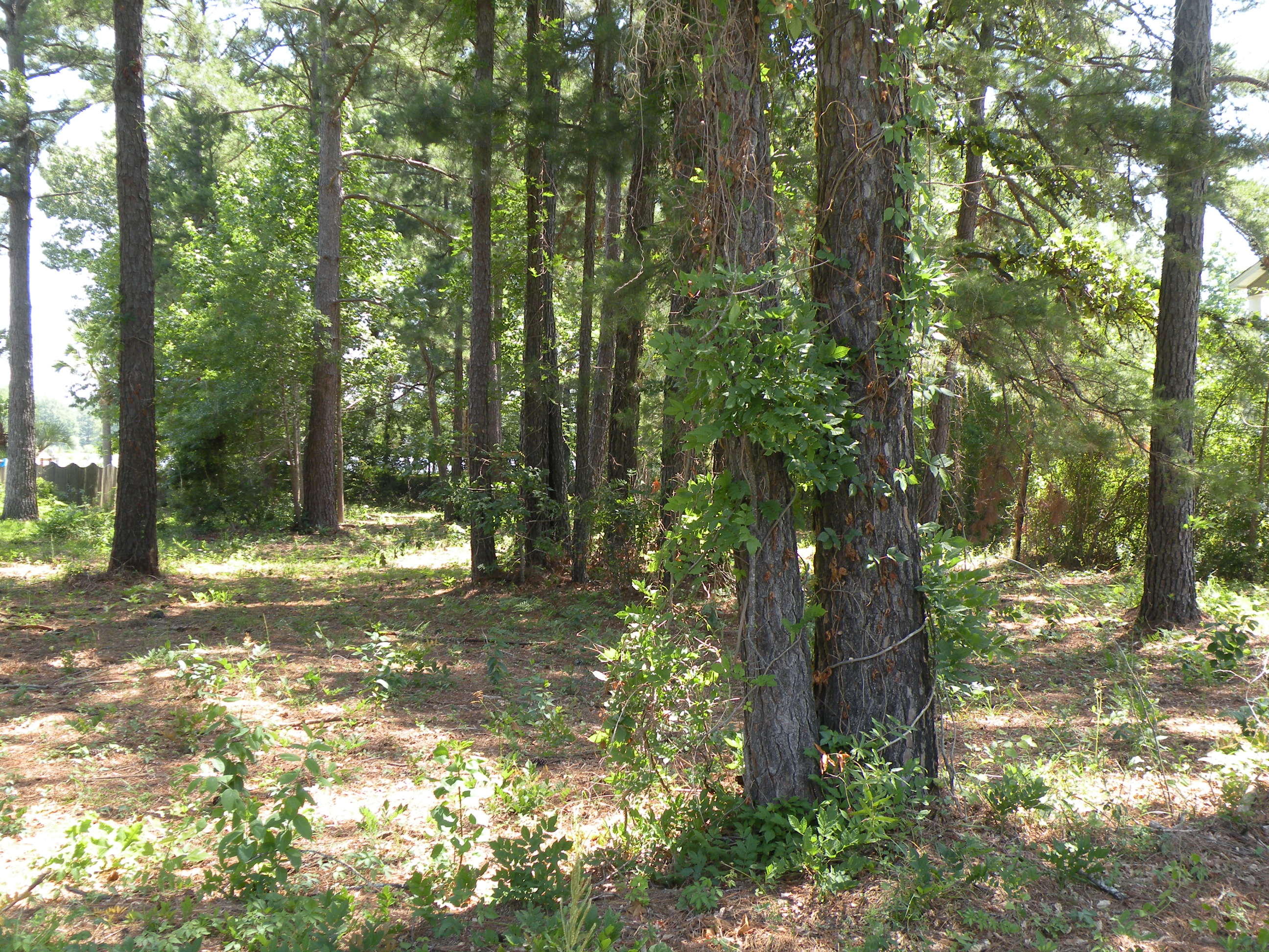 1404 Churchill Road Moncks Corner, SC 29461 - Photo 1 of 12 DSCN9749
