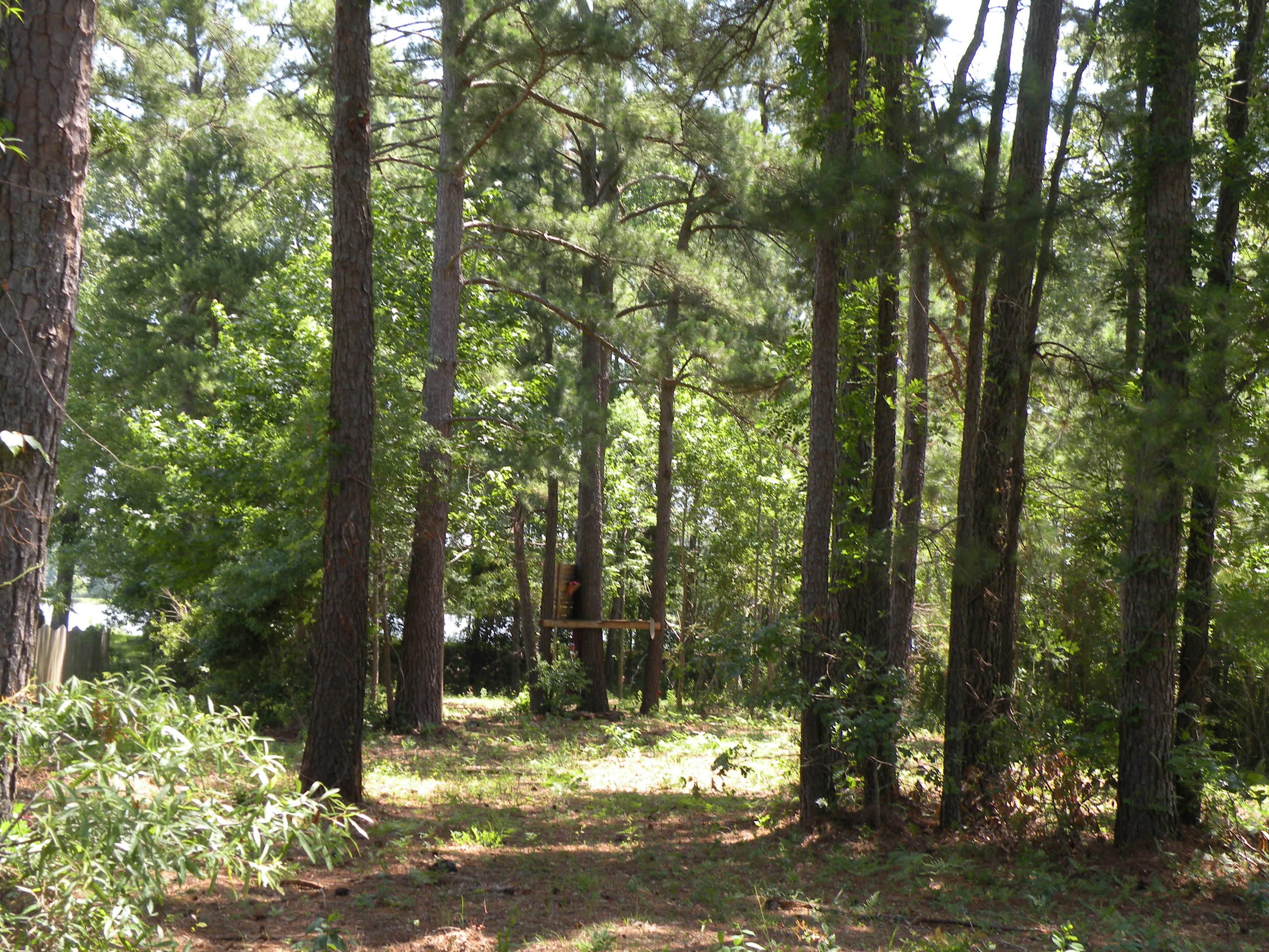 1404 Churchill Road Moncks Corner, SC 29461 - Photo 12 of 12 DSCN9751