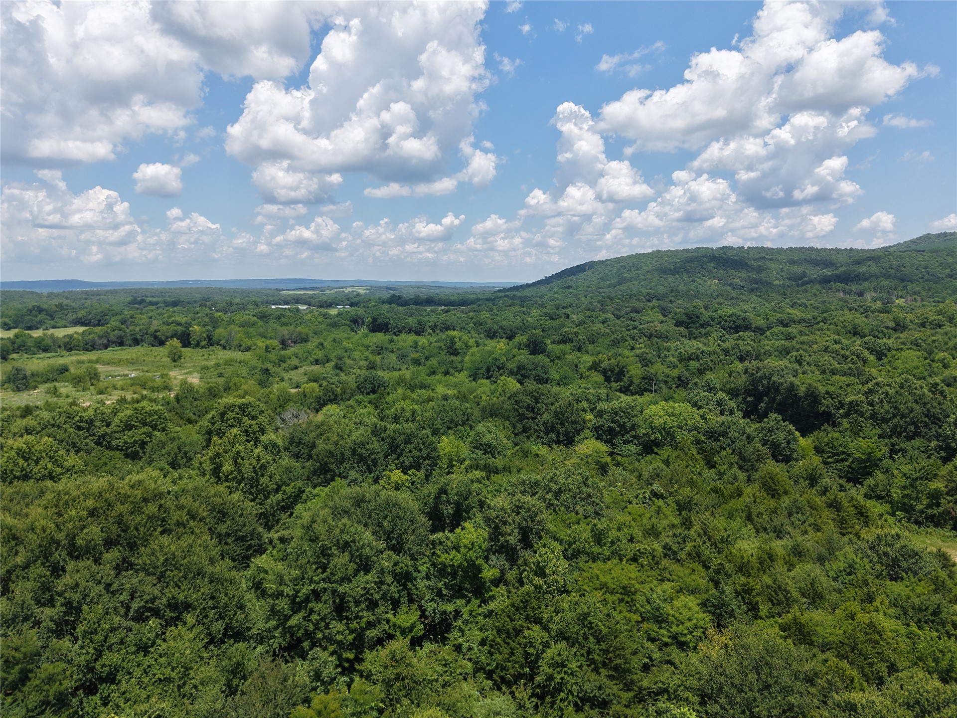 33594 Johnson Shady Point Shady Point, OK 74956 - Photo 18 of 18 Expansive wooded landscape with mature trees and distant rolling hills