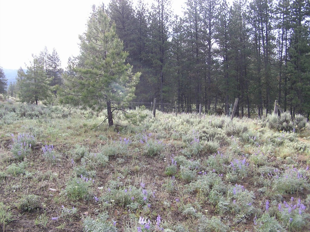 240 Cape Labelle Road Tonasket, WA 98855 - Photo 2 of 4