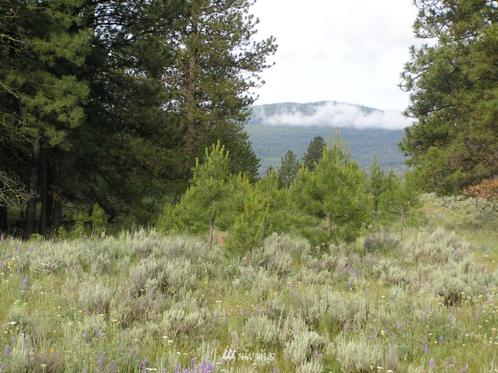 240 Cape Labelle Road Tonasket, WA 98855 - Photo 4 of 4