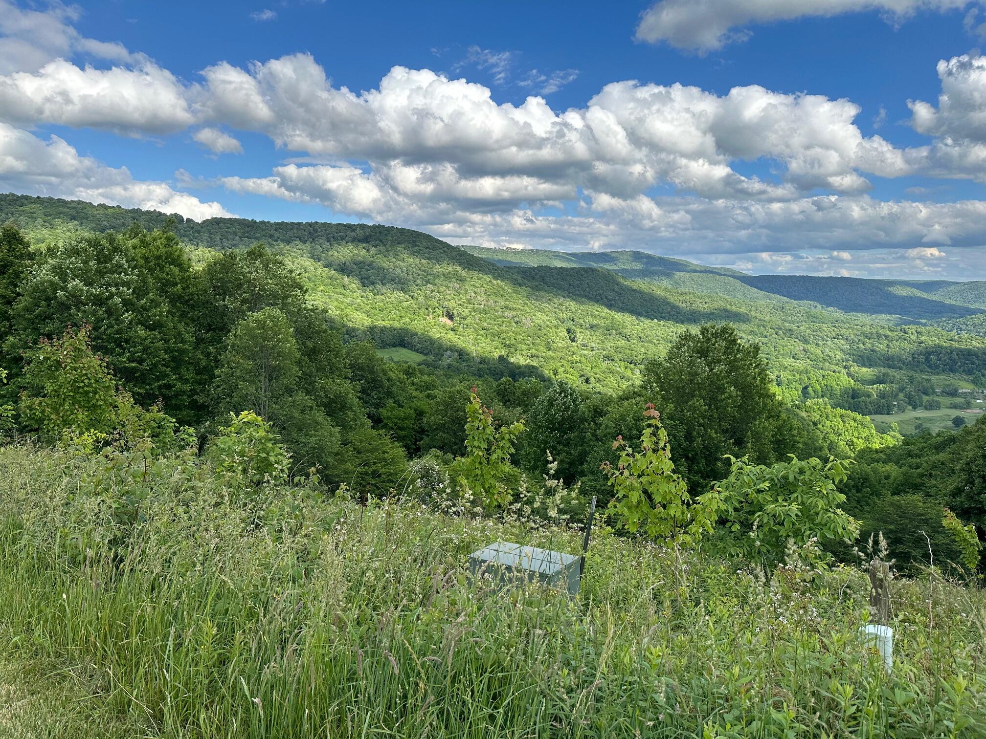 510 Headwaters Road Slatyfork, WV 26291 - Photo 8 of 12 Gallery Image 8