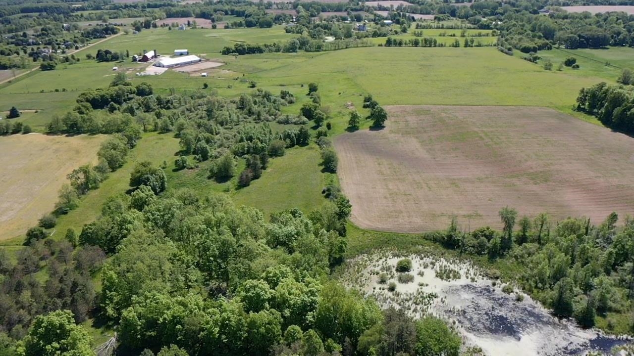 8680 Parks Road Ovid, MI 48866 - Photo 32 of 49