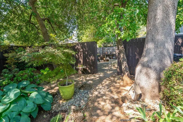 an outdoor view of the garden