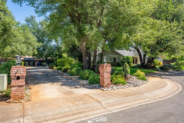 a view of a backyard with plants and wooden fence