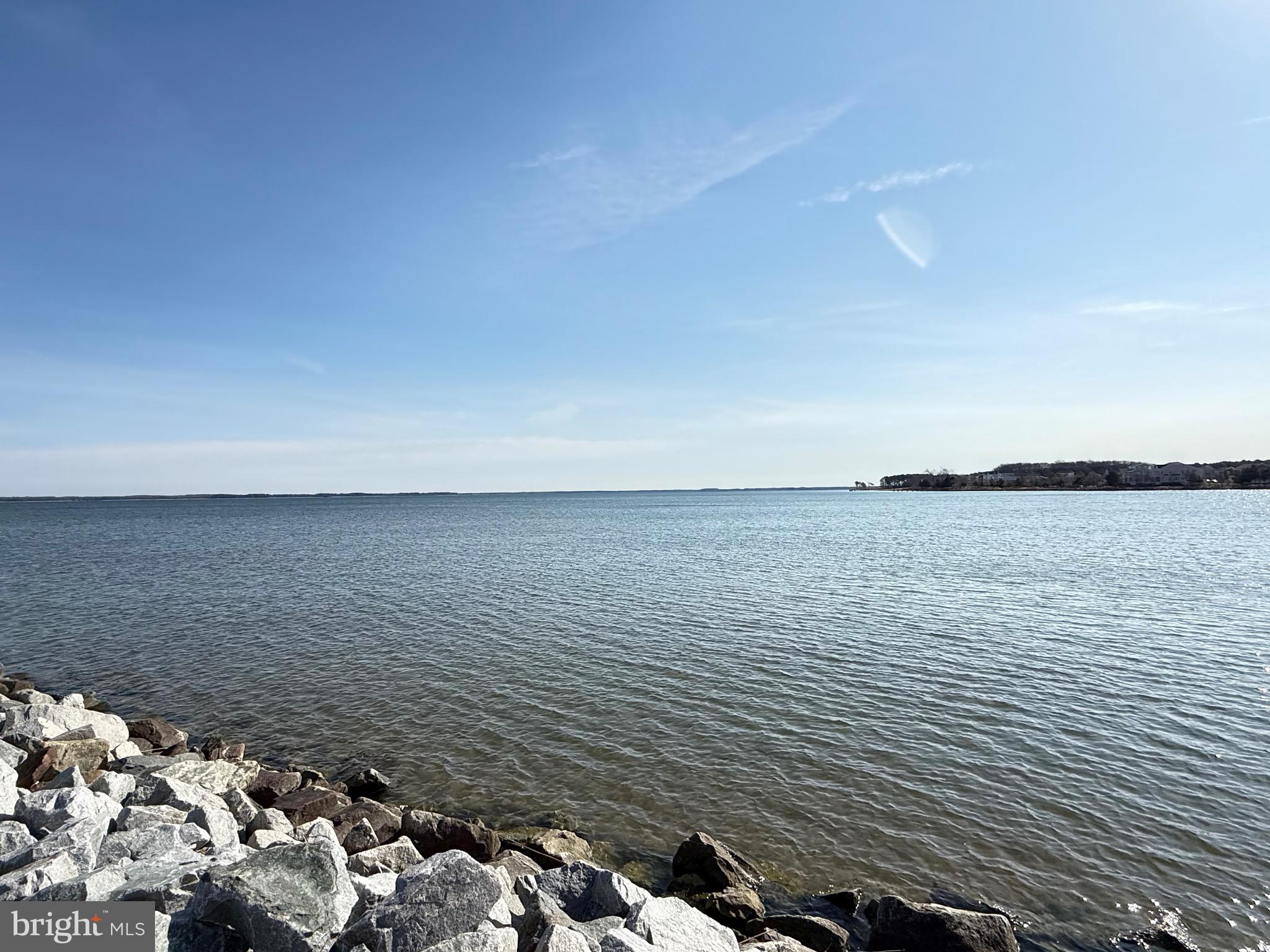 34 Queen Anne Way Chester, MD 21619 - Photo 48 of 52 a view of an ocean