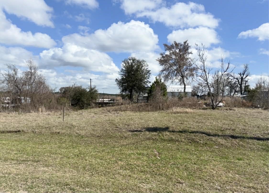 130 Cedar Onalaska, TX 77360 - Photo 1 of 7 a view of dirt field with large trees