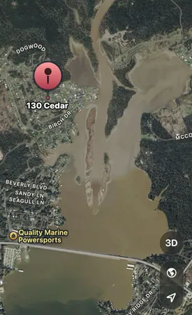 a view of a painting of a tree