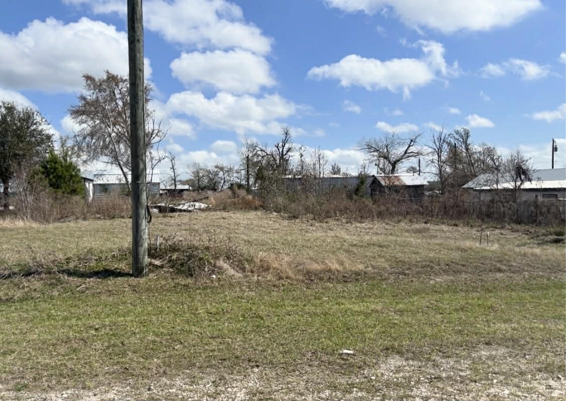 130 Cedar Onalaska, TX 77360 - Photo 4 of 7 a view of a yard