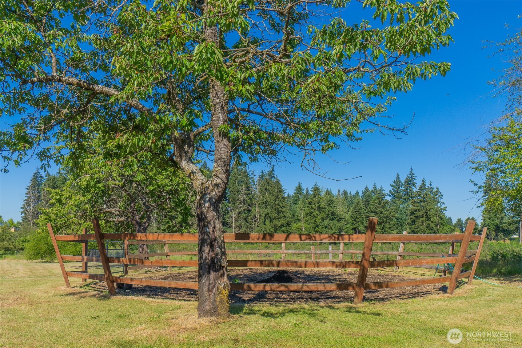 9505 Bridge Road Southeast Yelm, WA 98597 - Photo 29 of 35