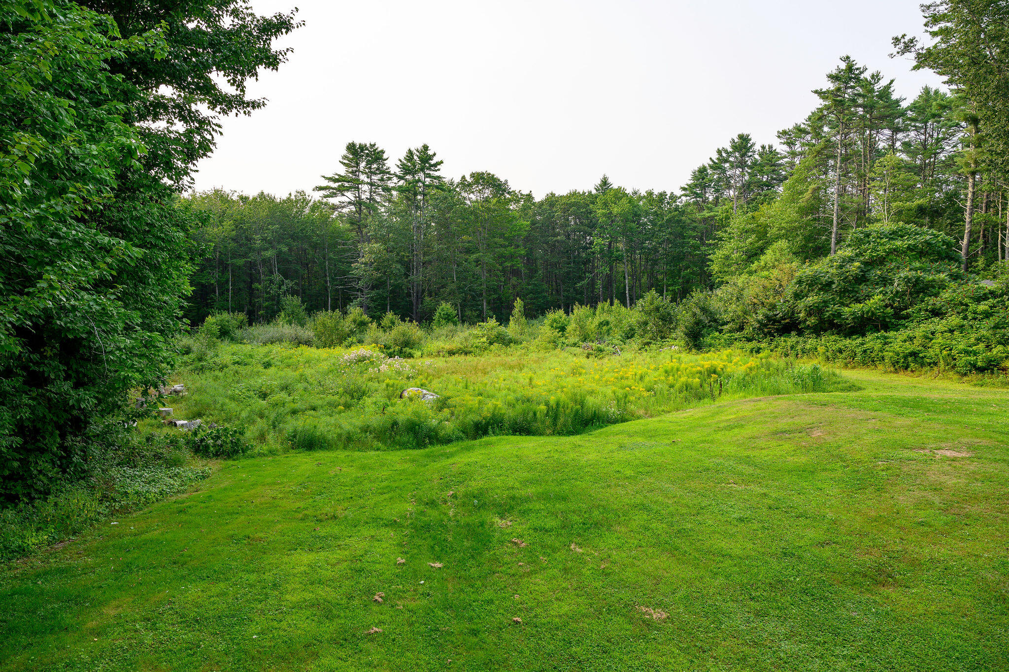 48 Albion Road Windham, ME 04062 - Photo 36 of 39 48Albion-9595