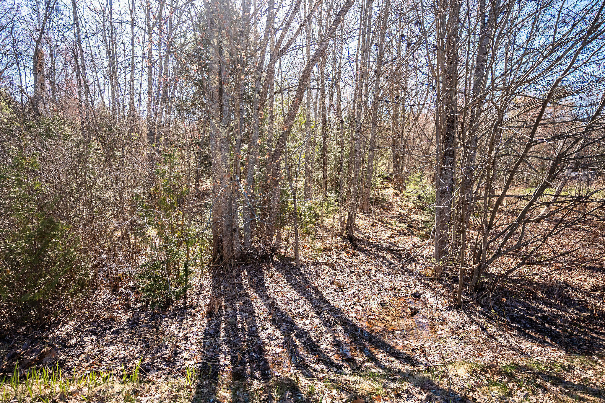 M9-l1 Middle Road Dresden, ME 04342 - Photo 11 of 11 Land for Sale
