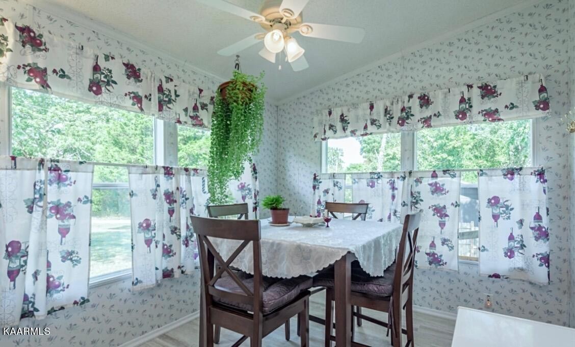 139 Cates Road Rockwood, TN 37854 - Photo 6 of 25 Gallery Image 6