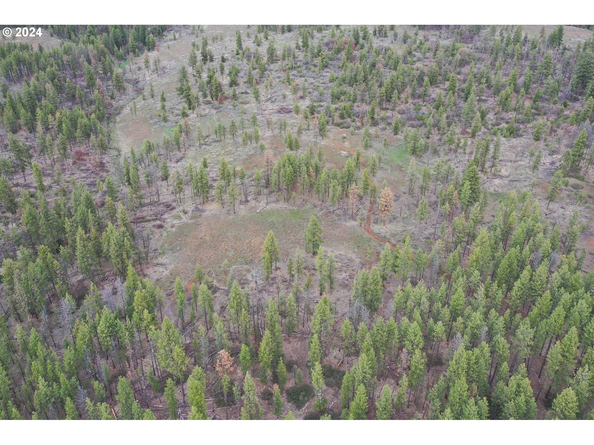 0 Pine Creek Road Bickleton, WA 99322 - Photo 1 of 16 Gallery Image 1