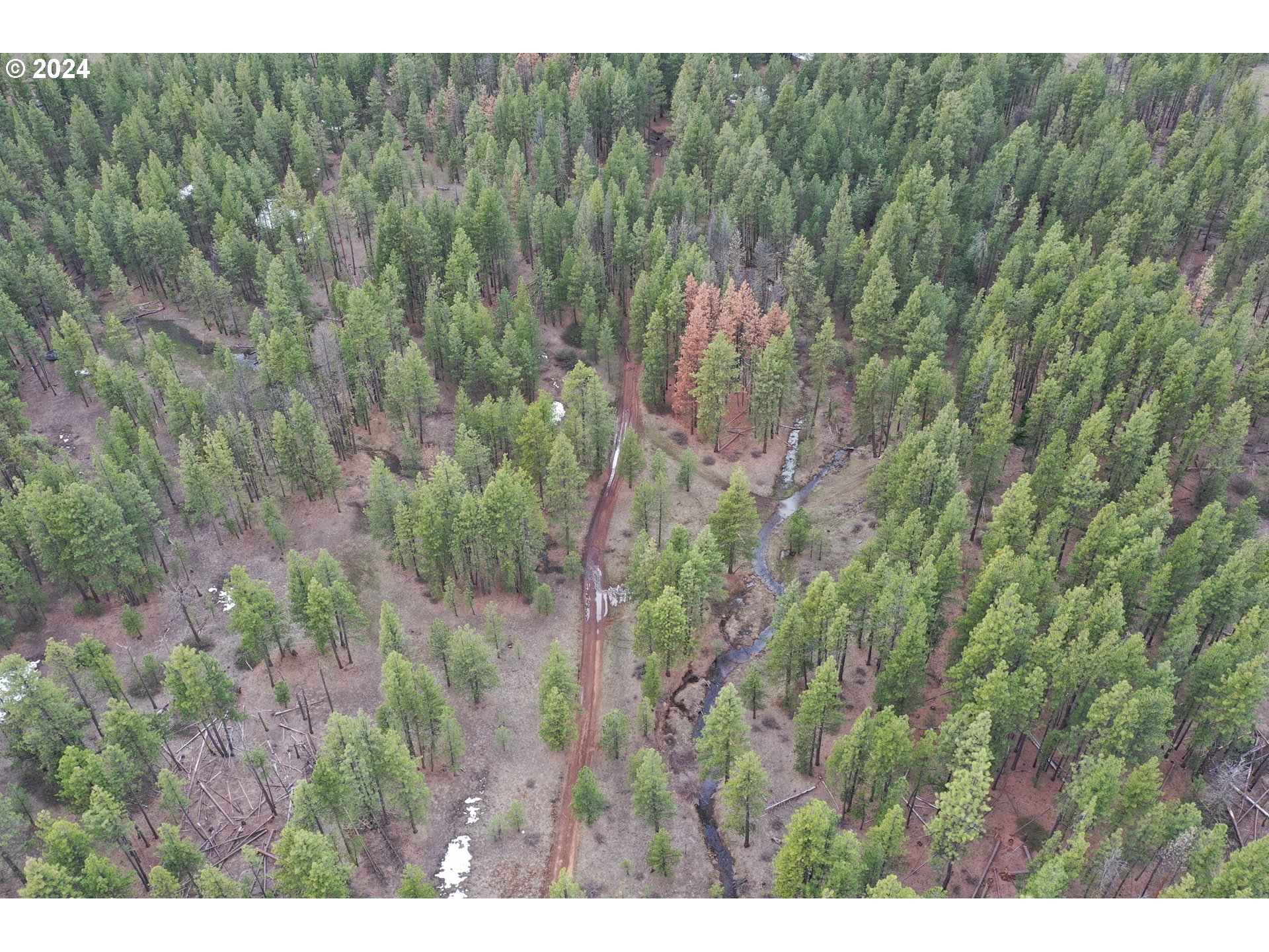 0 Pine Creek Road Bickleton, WA 99322 - Photo 15 of 16 Gallery Image 15